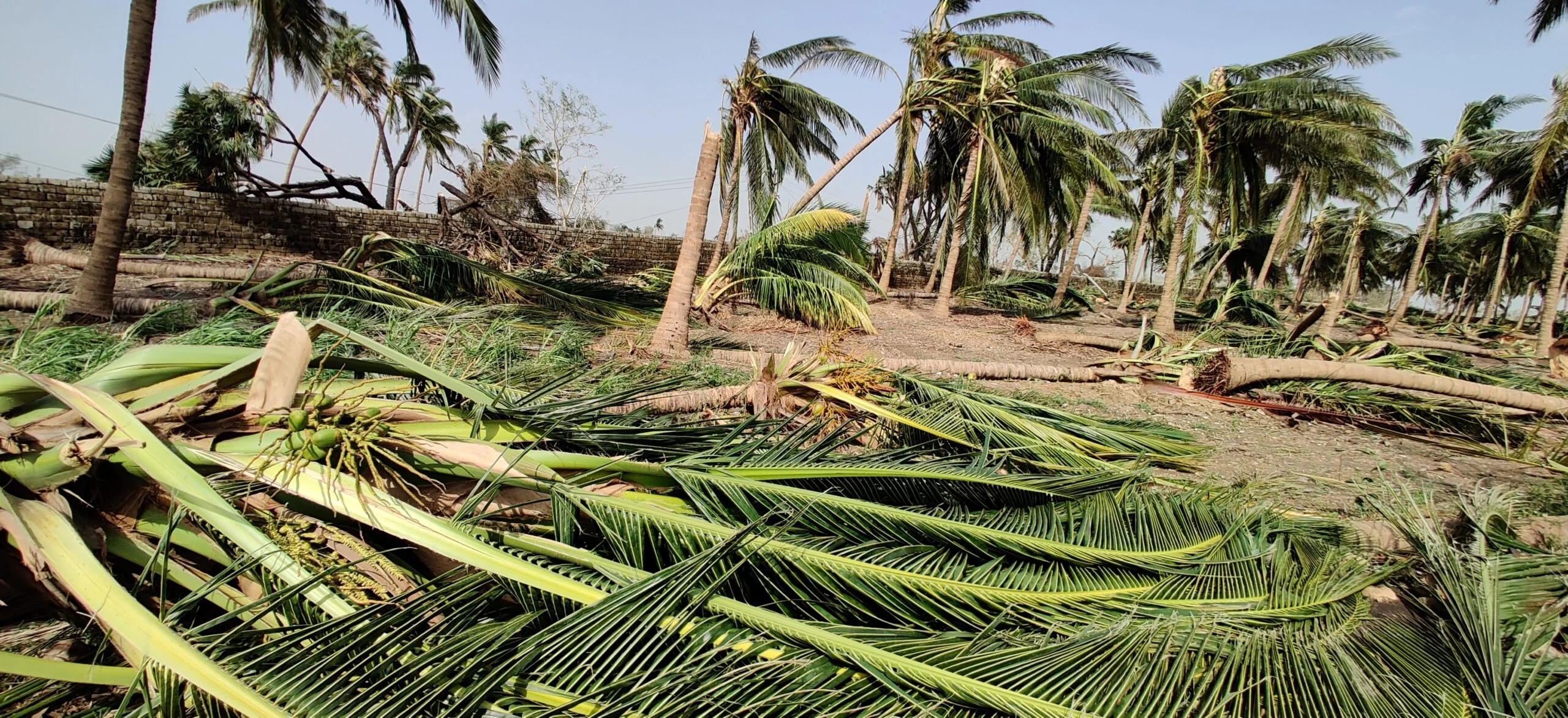 Cyclone tauktae destruction scaled Cyclone Tauktae destruction